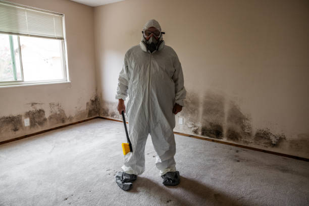 Best Mold Remediation for Healthcare Facilities  in Victory Gardens, NJ